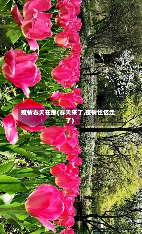 疫情春天在那(春天来了,疫情也该走了)