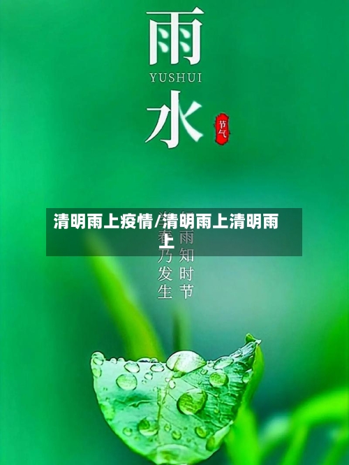清明雨上疫情/清明雨上清明雨上