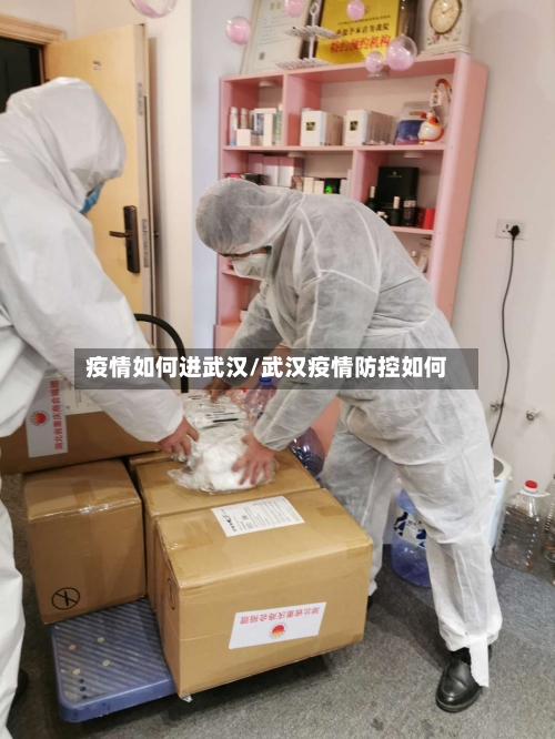 疫情如何进武汉/武汉疫情防控如何