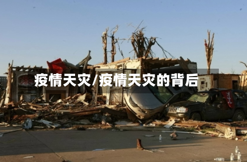 疫情天灾/疫情天灾的背后