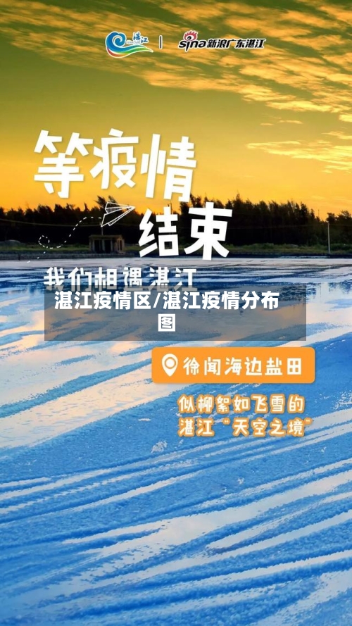 湛江疫情区/湛江疫情分布图