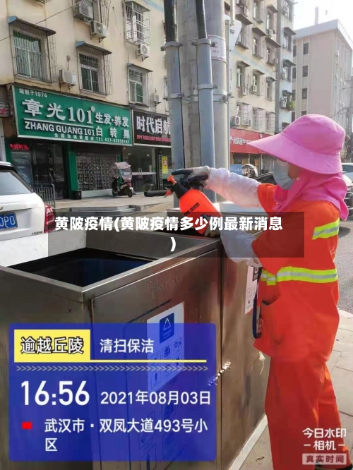 黄陂疫情(黄陂疫情多少例最新消息)