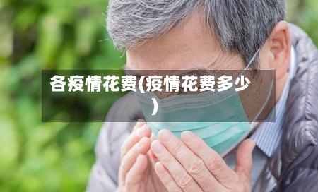 各疫情花费(疫情花费多少)