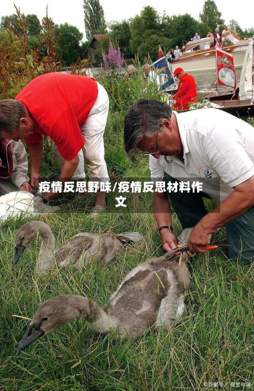 疫情反思野味/疫情反思材料作文