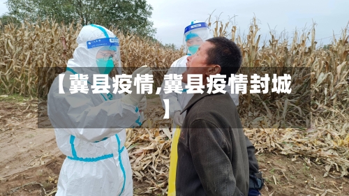 【冀县疫情,冀县疫情封城】