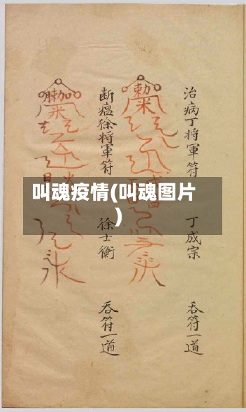 叫魂疫情(叫魂图片)