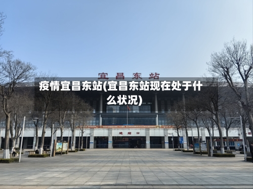 疫情宜昌东站(宜昌东站现在处于什么状况)