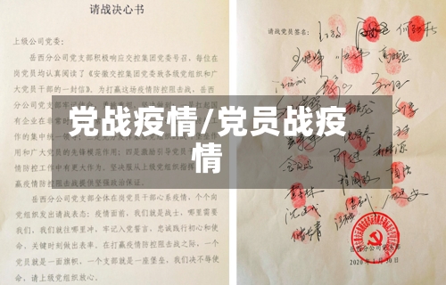党战疫情/党员战疫情