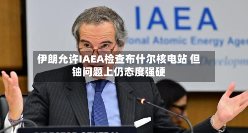 伊朗允许IAEA检查布什尔核电站 但铀问题上仍态度强硬