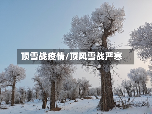 顶雪战疫情/顶风雪战严寒