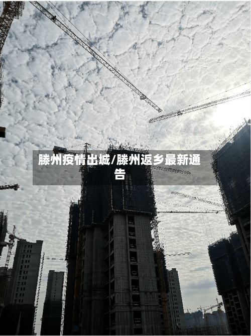 滕州疫情出城/滕州返乡最新通告