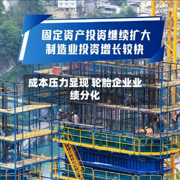 成本压力显现 轮胎企业业绩分化