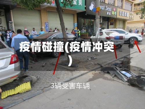 疫情碰撞(疫情冲突)