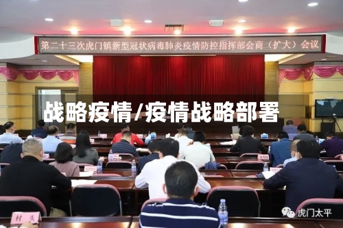 战略疫情/疫情战略部署
