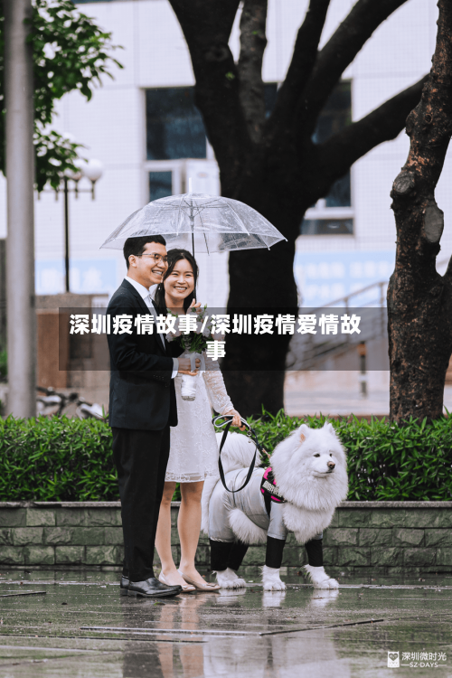深圳疫情故事/深圳疫情爱情故事