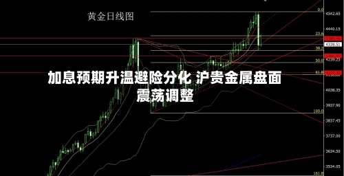 加息预期升温避险分化 沪贵金属盘面震荡调整