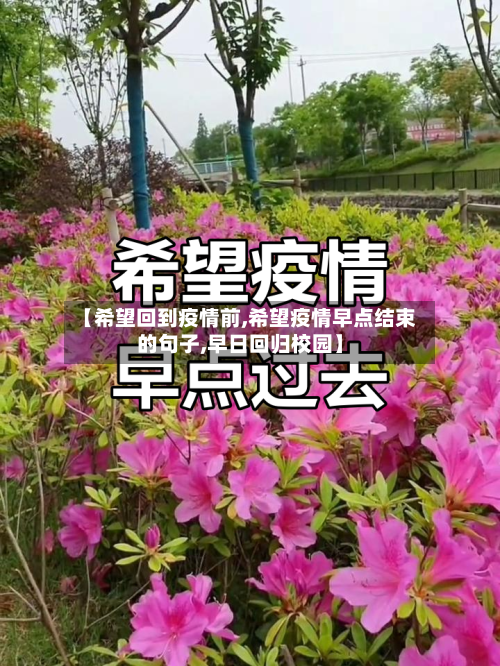 【希望回到疫情前,希望疫情早点结束的句子,早日回归校园】