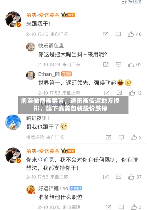 俞浩微博被禁言，追觅被传遭地方摸排，旗下嘉美包装股价跌停