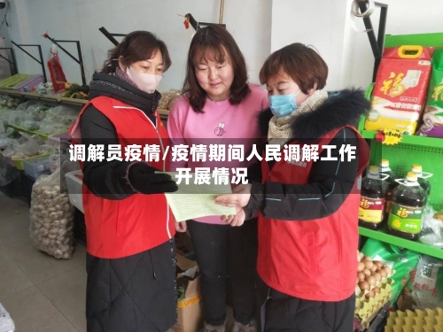 调解员疫情/疫情期间人民调解工作开展情况