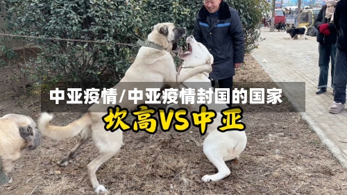 中亚疫情/中亚疫情封国的国家