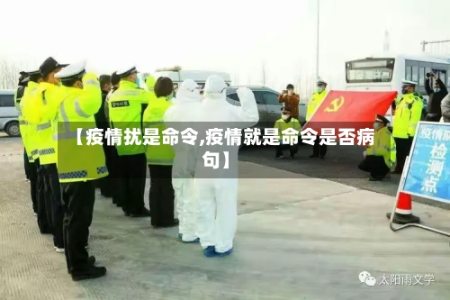 【疫情扰是命令,疫情就是命令是否病句】