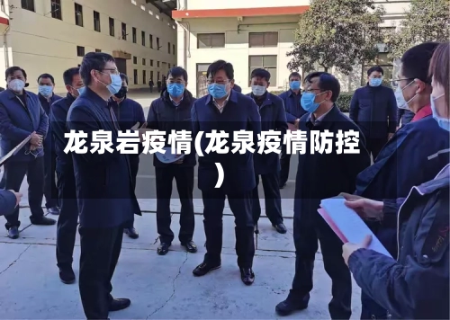 龙泉岩疫情(龙泉疫情防控)