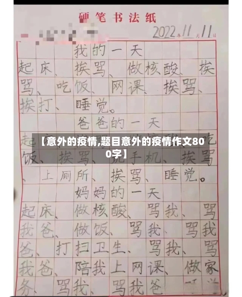 【意外的疫情,题目意外的疫情作文800字】