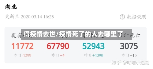 得疫情去世/疫情死了的人去哪里了