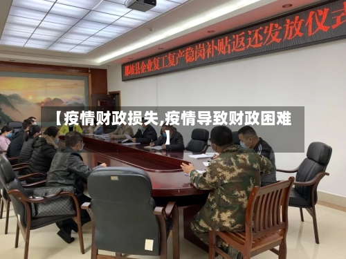 【疫情财政损失,疫情导致财政困难】