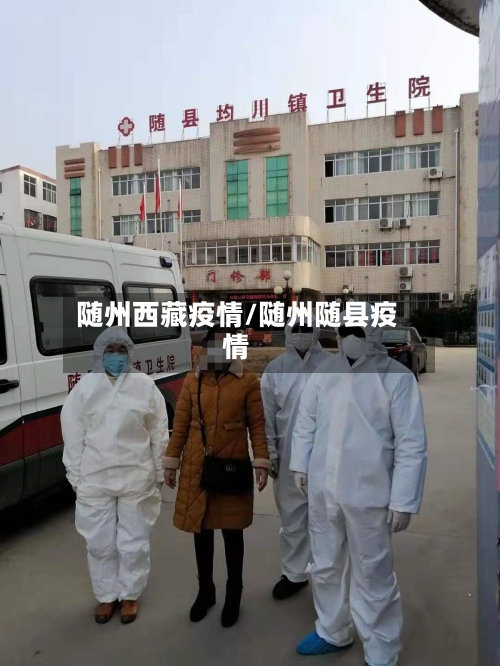 随州西藏疫情/随州随县疫情