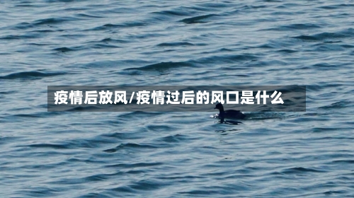疫情后放风/疫情过后的风口是什么