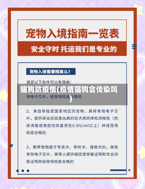 猫狗防疫情(疫情猫狗会传染吗)