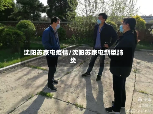 沈阳苏家屯疫情/沈阳苏家屯新型肺炎