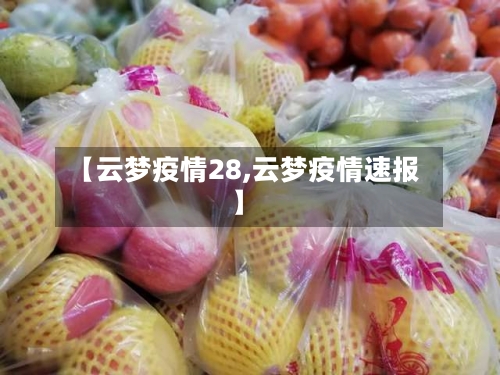 【云梦疫情28,云梦疫情速报】
