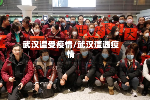 武汉遭受疫情/武汉遭遇疫情