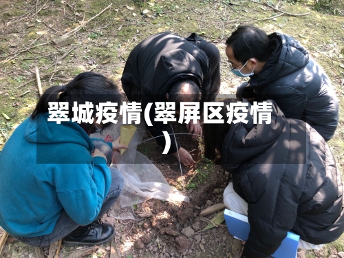 翠城疫情(翠屏区疫情)