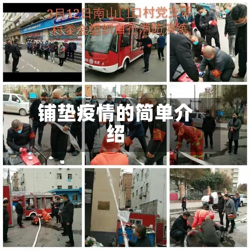 铺垫疫情的简单介绍