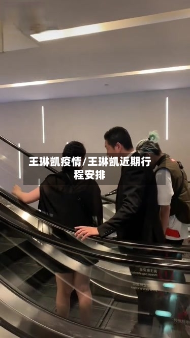 王琳凯疫情/王琳凯近期行程安排