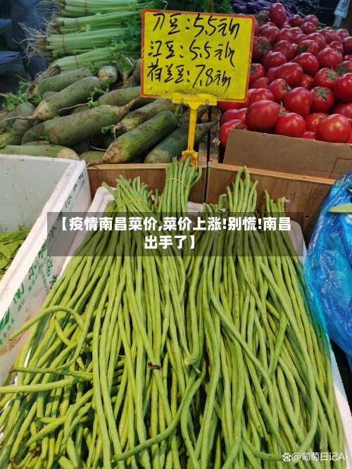 【疫情南昌菜价,菜价上涨!别慌!南昌出手了】