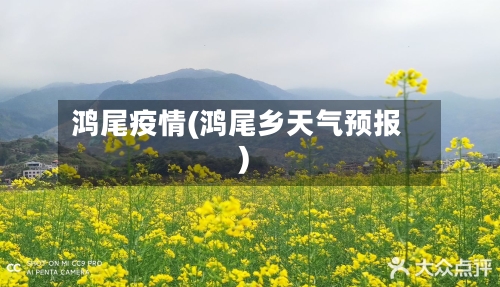 鸿尾疫情(鸿尾乡天气预报)