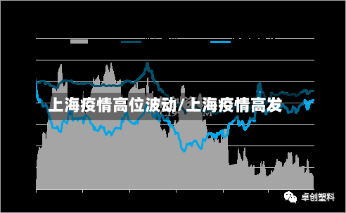上海疫情高位波动/上海疫情高发
