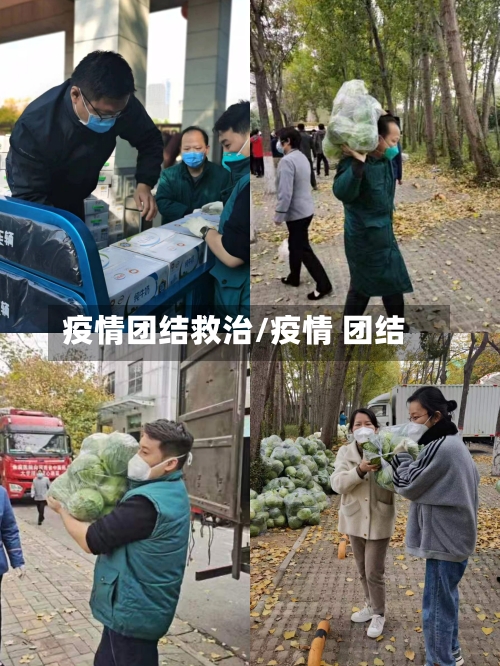 疫情团结救治/疫情 团结