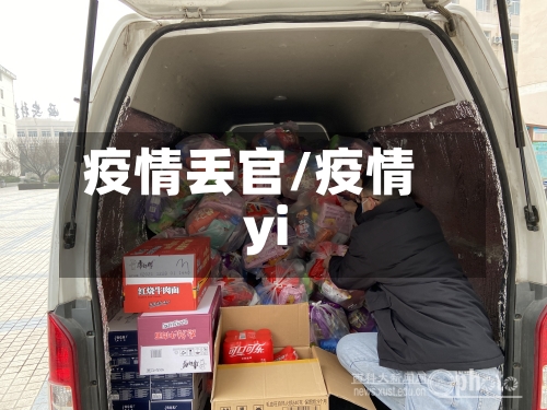 疫情丢官/疫情yi