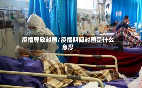 疫情导致封国/疫情期间封国是什么意思
