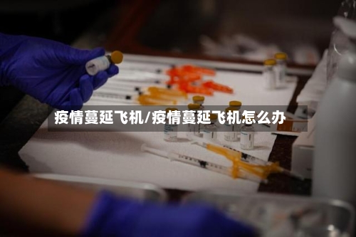 疫情蔓延飞机/疫情蔓延飞机怎么办
