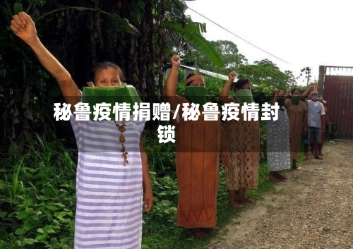 秘鲁疫情捐赠/秘鲁疫情封锁