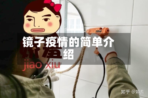 镜子疫情的简单介绍