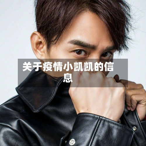 关于疫情小凯凯的信息