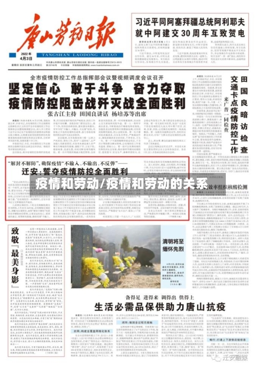 疫情和劳动/疫情和劳动的关系