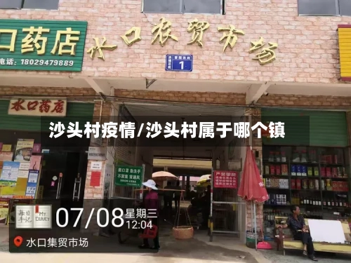 沙头村疫情/沙头村属于哪个镇